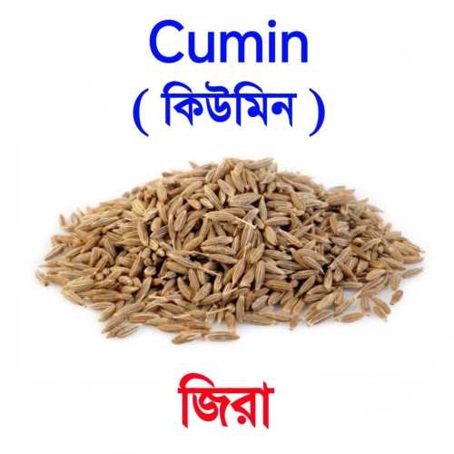 ঢেঁকি ছাঁটা জিরা গুঁড়া/Dheki Chhata Cumin (Jira) Powder 500gm