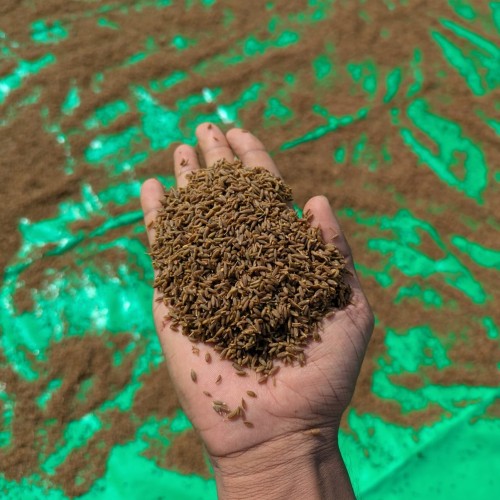 Dheki Chhata Cumin Powder/ঢেঁকি ছাঁটা জিরার গুঁড়া