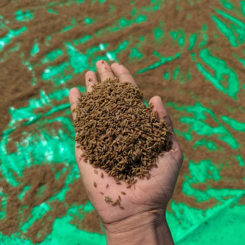 Cumin Powder/ঢেঁকি ছাঁটা জিরার গুঁড়া