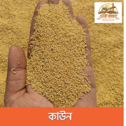 কাউন চাল (Kaun Rice)